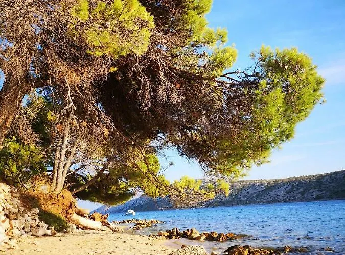 Summer Escape On Island Rab * Barbat na Rabu