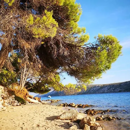Summer Escape On Island Rab * Barbat na Rabu